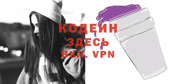 индика Баксан
