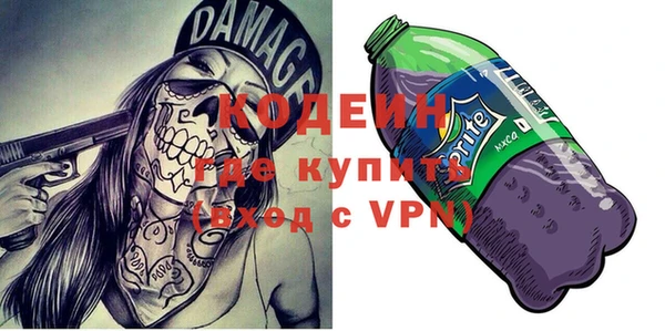 индика Баксан