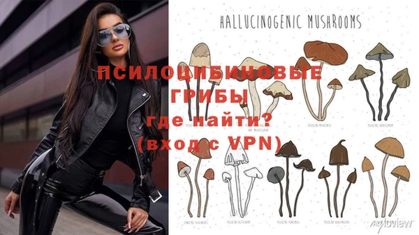 индика Армянск