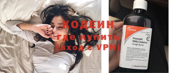 индика Баксан