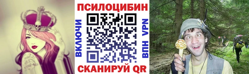 Галлюциногенные грибы Cubensis  Верея 