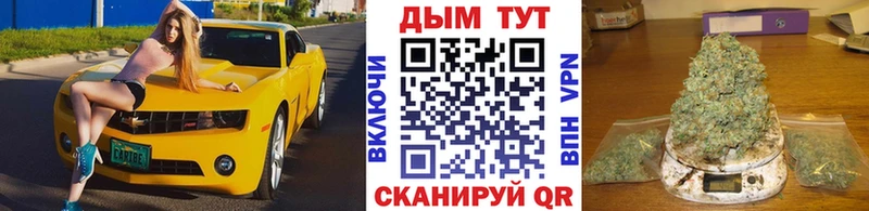 Бошки Шишки план  Верея 
